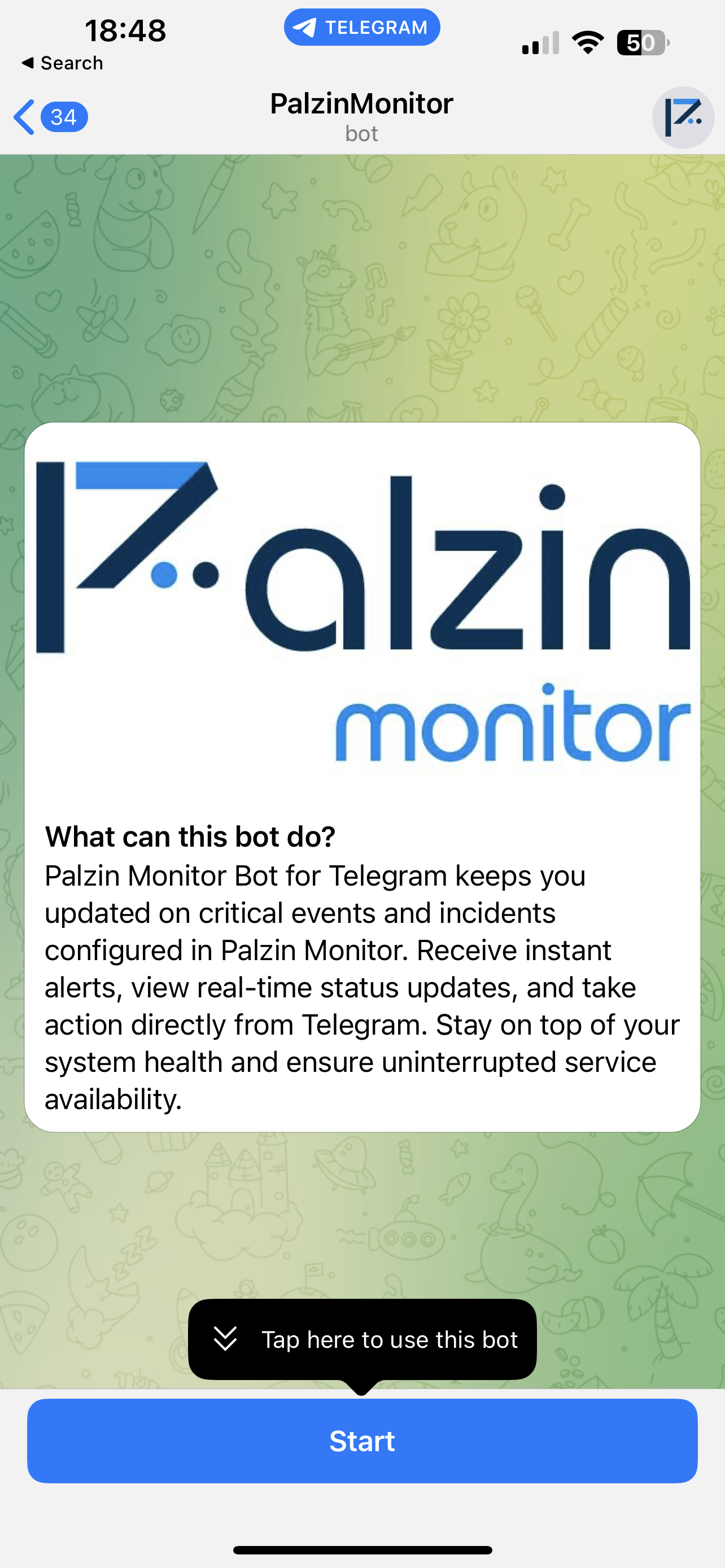 Start Chat with Palzin Monitor Bot